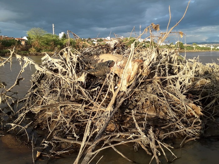 Ossada Humana Encontrada Por Pescador S Margens Do Rio Das Contas